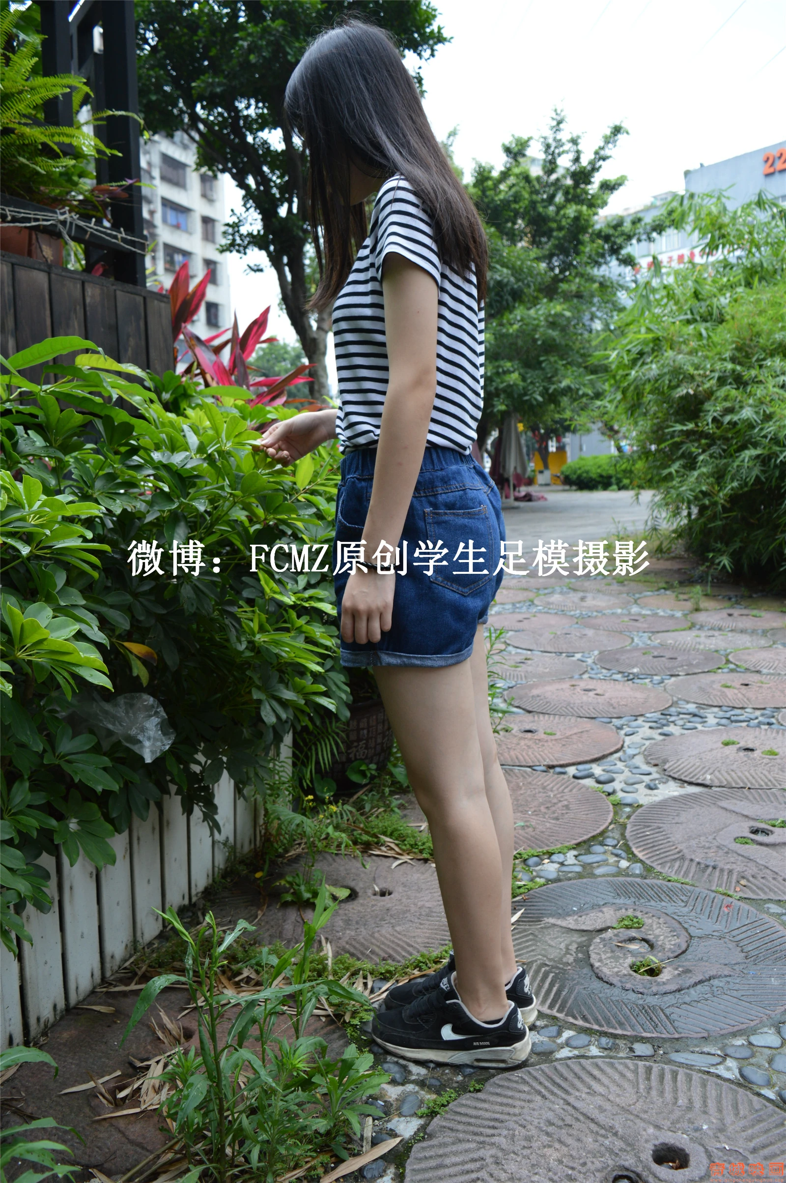 FCMZ A38-苗苗[177P]