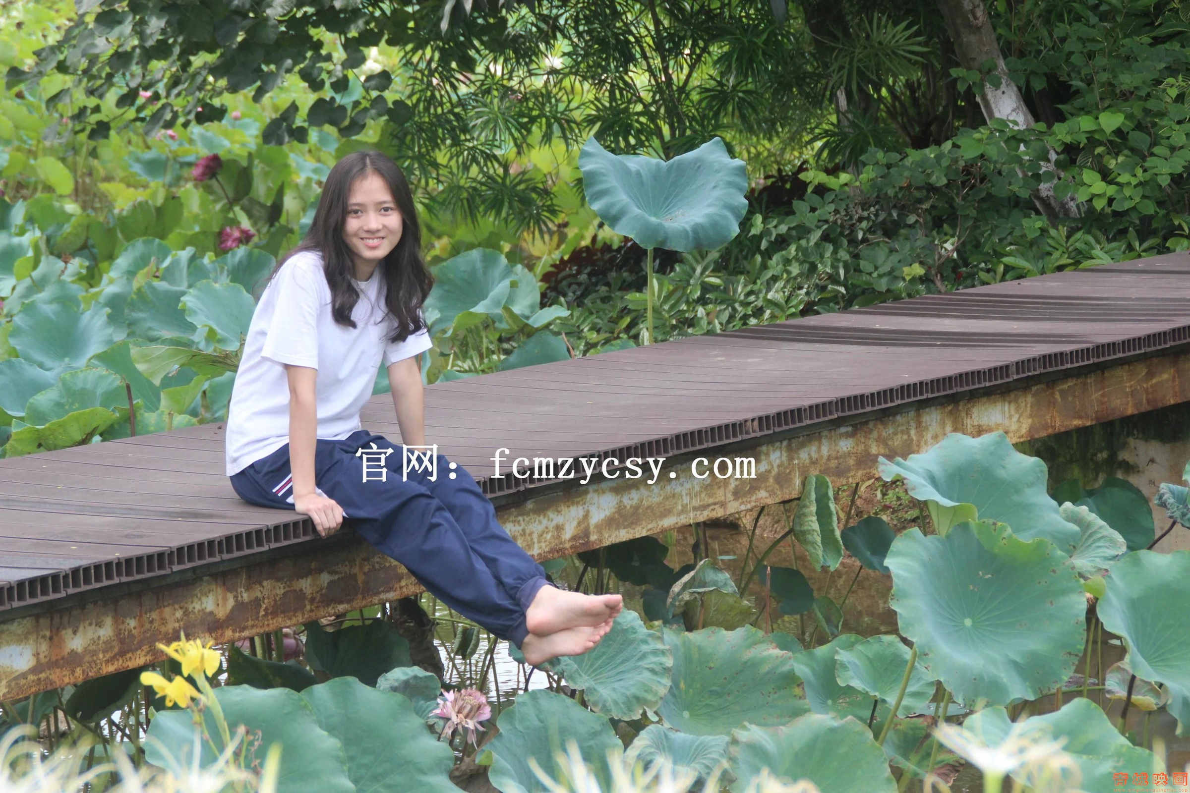 682b964288ac1.webp