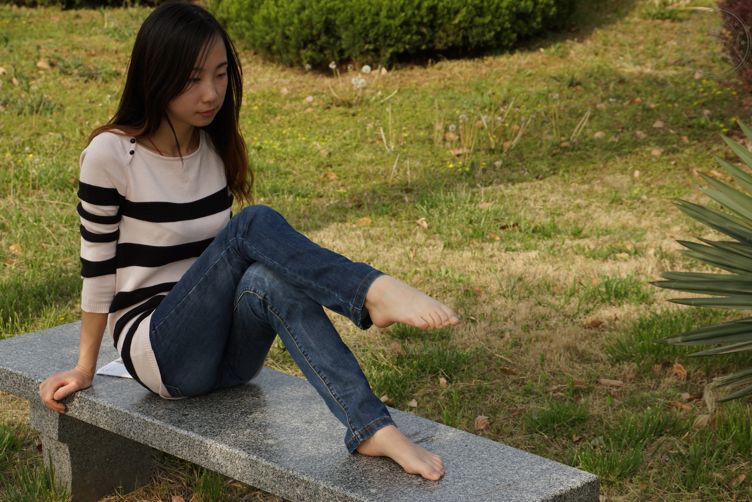 68355c856fdec.webp